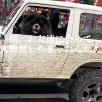 友達を見つけた小次郎くん