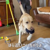 追いかけっこスタート