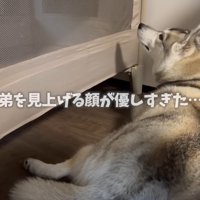 頼もしいお姉ちゃんに感動♡