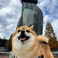 笑顔のあずきちゃん