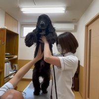 診察はすぐに終了