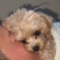 ラテちゃんの姿が！！