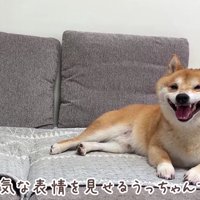 大満足のうにくんでした