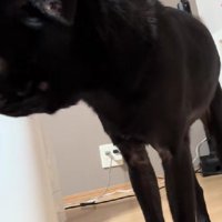 メリハリも抜群