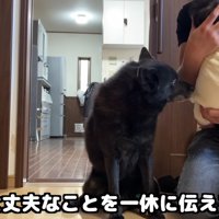 赤ちゃんは大丈夫だよ！