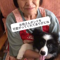 お母さんと犬