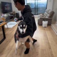 抱き合う犬とお兄ちゃん2