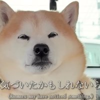 「もしかして…病院…？」