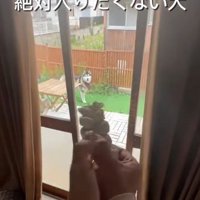 章末ちゃんを部屋に入れたい