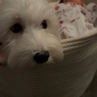 2人でバスケットの中に♡