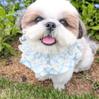 ニコニコ