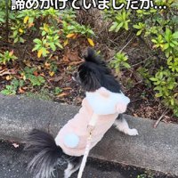 無理に出さない方がいいのかも…