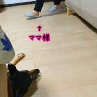 ママさんも寝室にやってきました