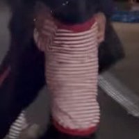 男性に飛びつく黒い犬