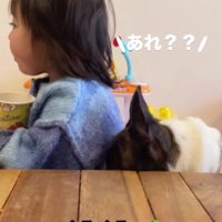 可愛い攻防戦にホッコリ