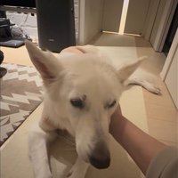 れお君の表情の変化9