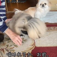 すっかり仲良しになった♡