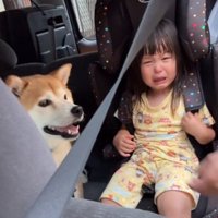 泣く姪っ子ちゃんとリブくん