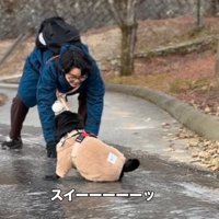 滑り落ちていく男性とパグ