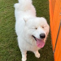 穏やかな笑顔が可愛い♡