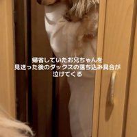 「おにいちゃん…」