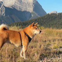 大自然を満喫…