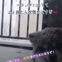 吹雪が強くなってきた
