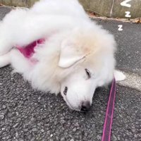逞しさに感嘆…！