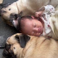 あぽ君とのえる君と赤ちゃん3