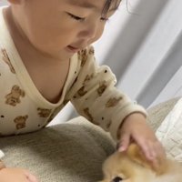 犬を撫でる子ども