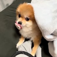 赤ちゃんみたいな顔にキュン♡