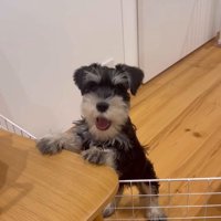 ボセくんの成長記録2