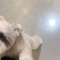 「寂しかったよーっ」