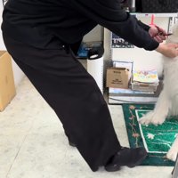 「注射なんて無理です…」