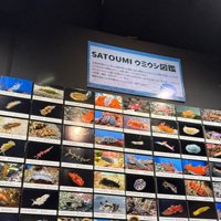 ウミウシは品種がいっぱい！