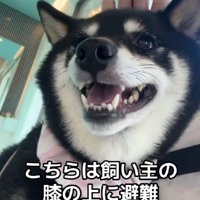 あさちゃんは余裕の笑み