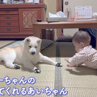 あいちゃんは17歳！！
