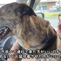 赤ちゃんのようで愛おしい♡