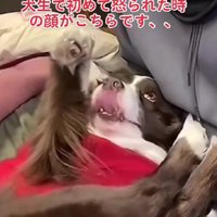 前世では夫婦だったのでは…