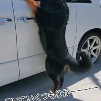 車で出かけようとしたら…
