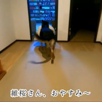 マット持参で寝室へ♪