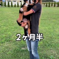 ここから急成長を遂げます…！！