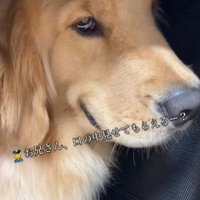 もしかして…