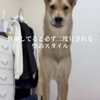 スラリ