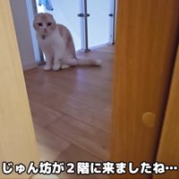 じゅんちゃんが訪れた
