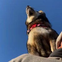 肩の上に乗っていた！