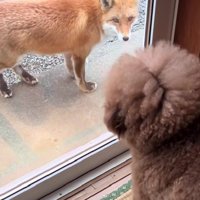 「またここに来るの？」