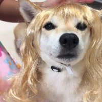 似合い過ぎてる！！