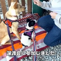 お世話係を引き継いだ太陽くん