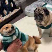 掃除機が届く日…